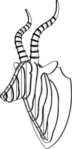 Hush_Gazelle_LineDrawing