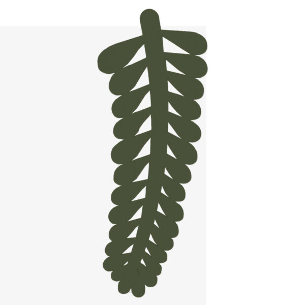 Hush_Leaves_Fern_Forrest