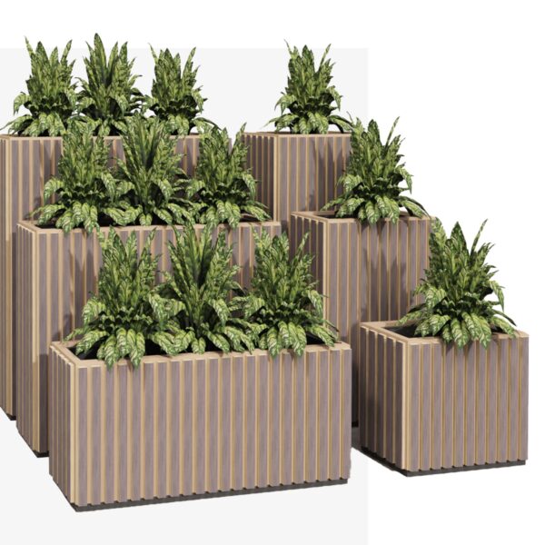 Hush_Planters_Timbre_1