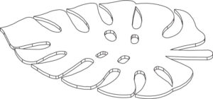 Leaves_Philo_LineDrawing