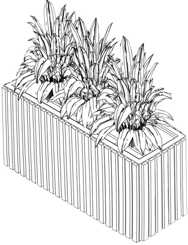 Planter_Timbre_LineDrawing
