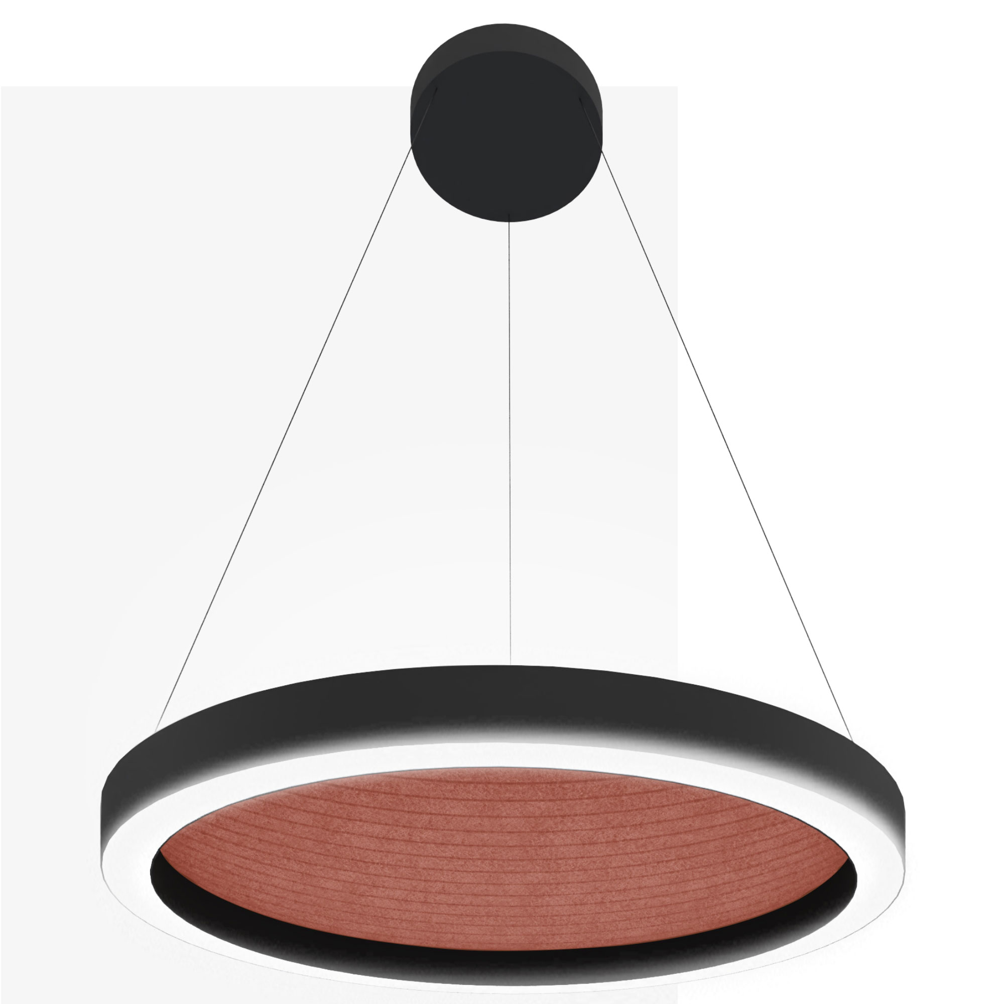Hush_Sunno_Curves_02